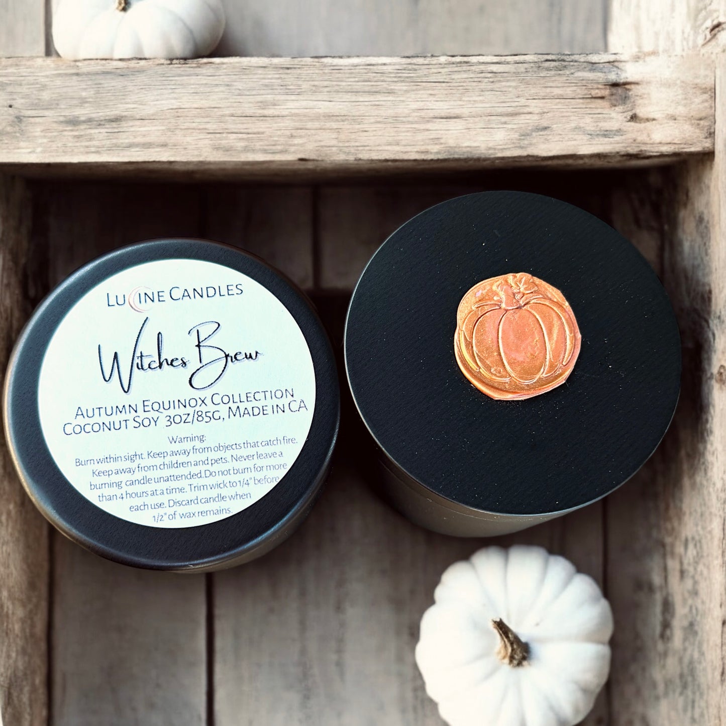 Autumn Discovery Set