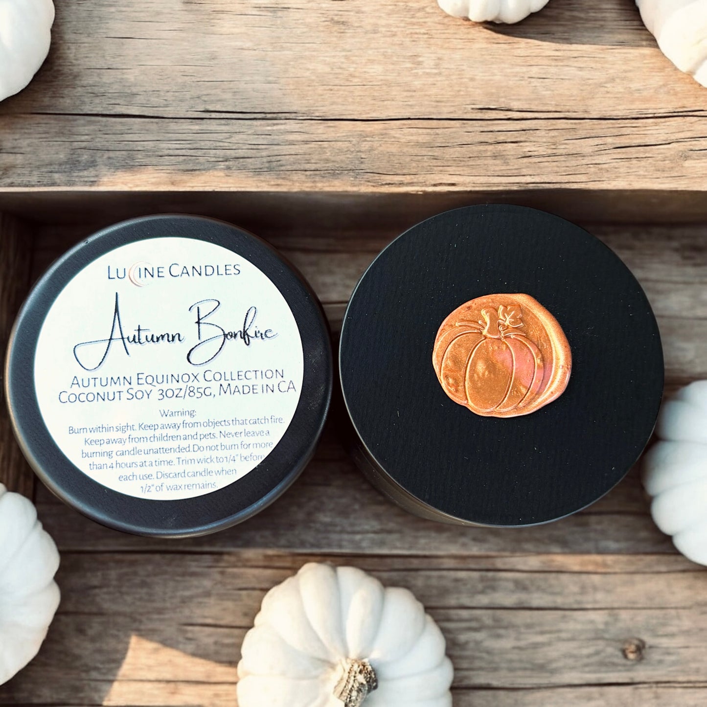 Autumn Discovery Set