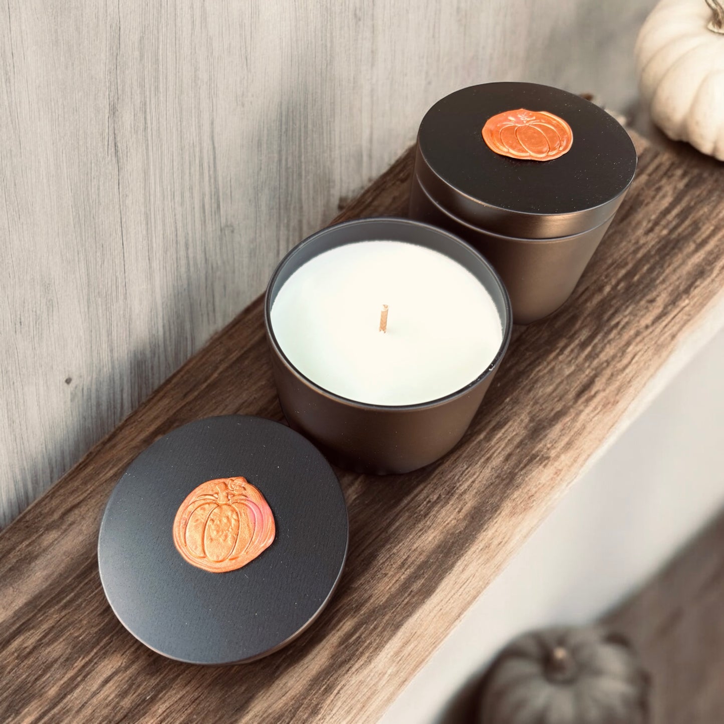 Autumn Discovery Set