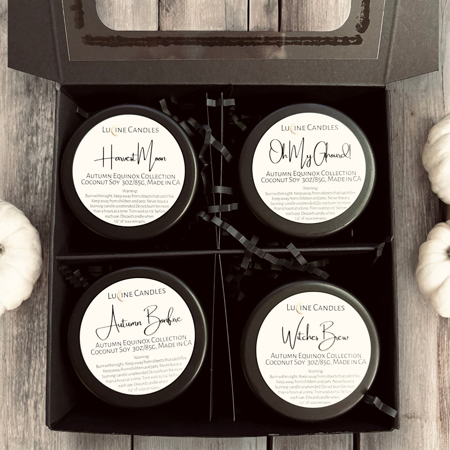 Autumn Discovery Set