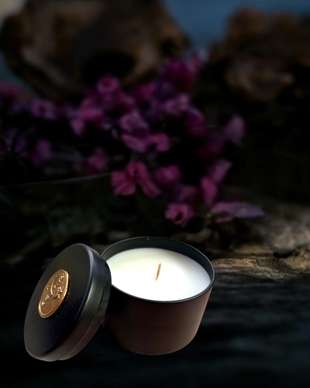 Perfume & Cologne Discovery Set