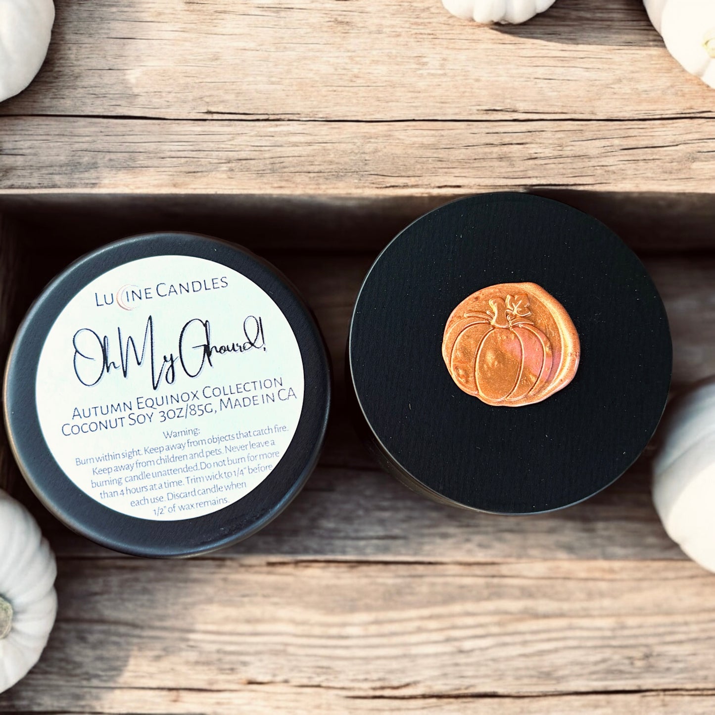 Autumn Discovery Set