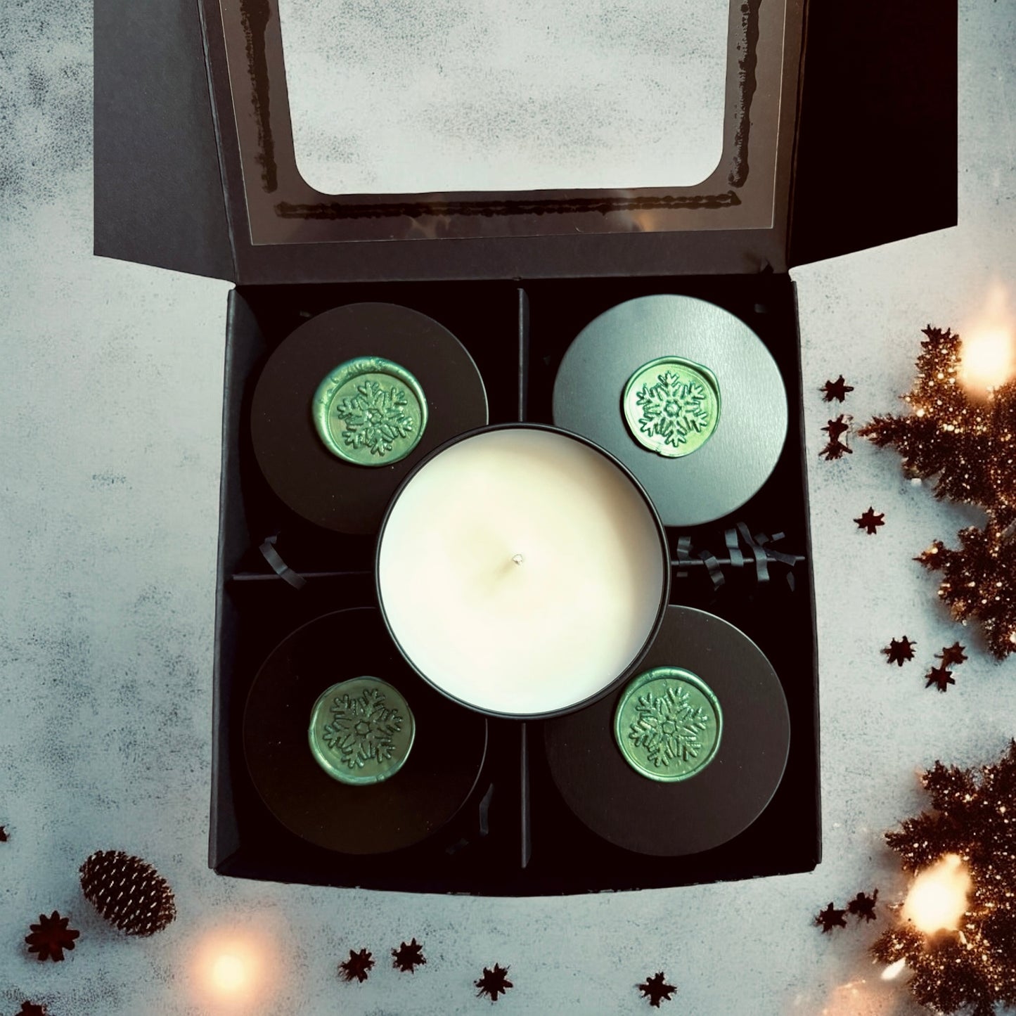 Winter Discovery Set