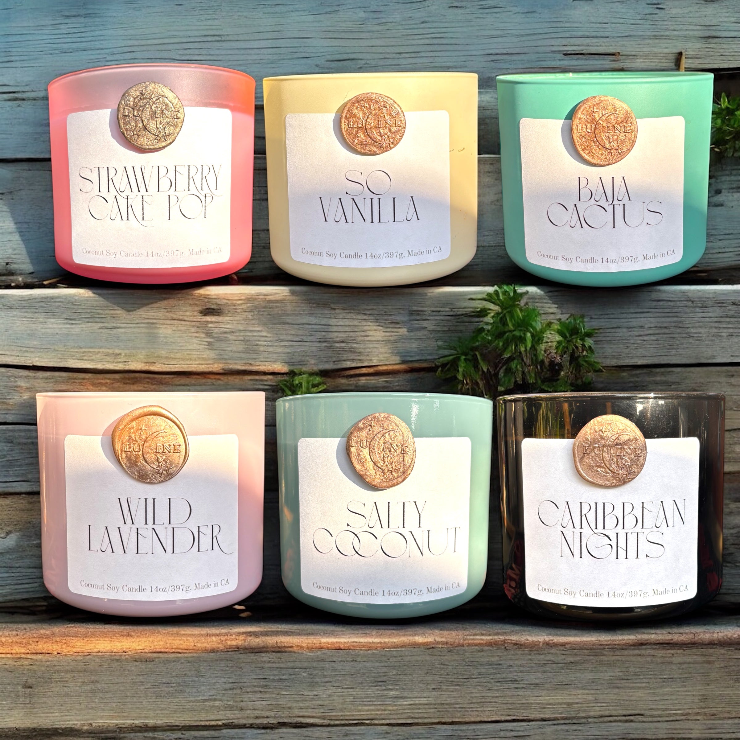 Summer Nights Collection