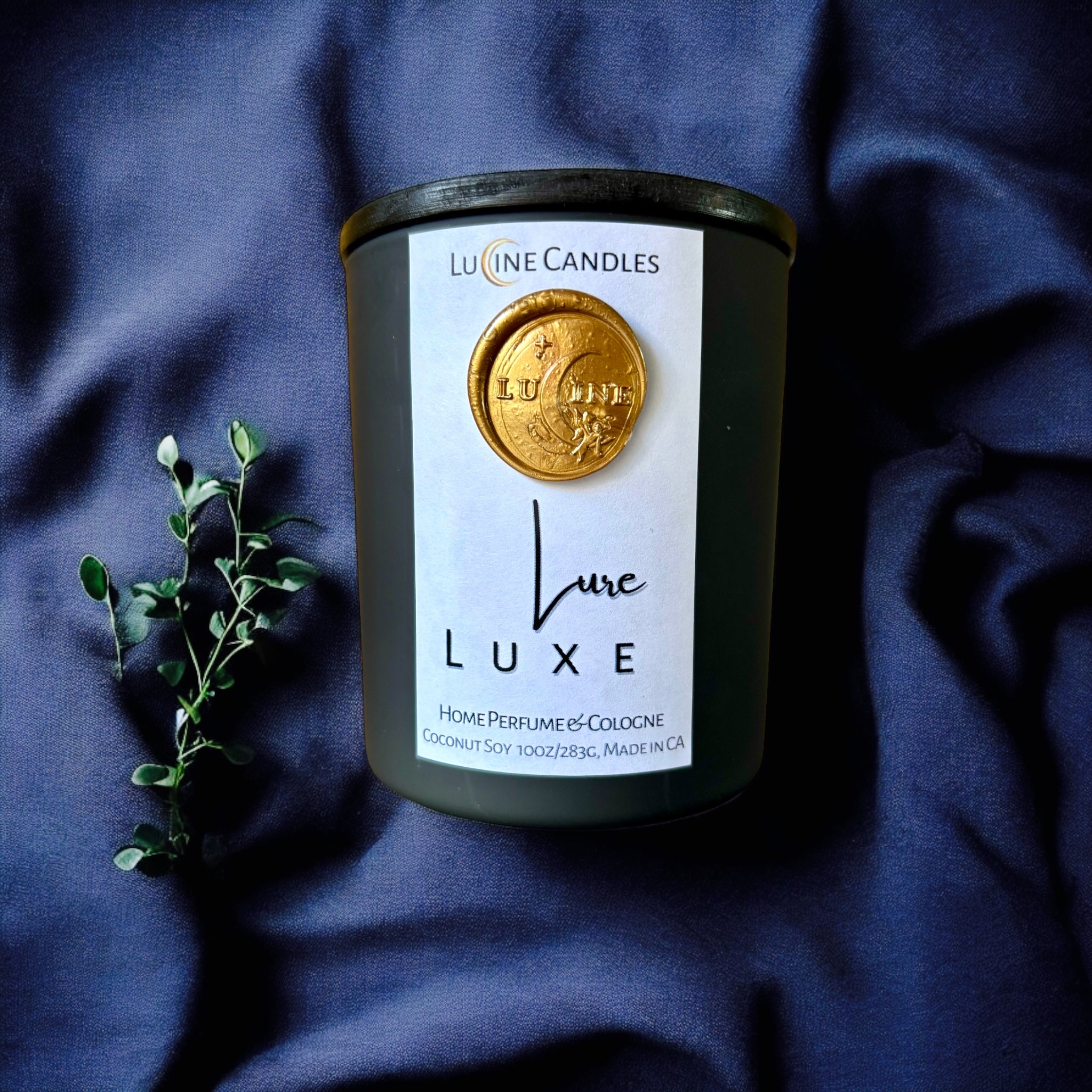 Perfume & Cologne Collection