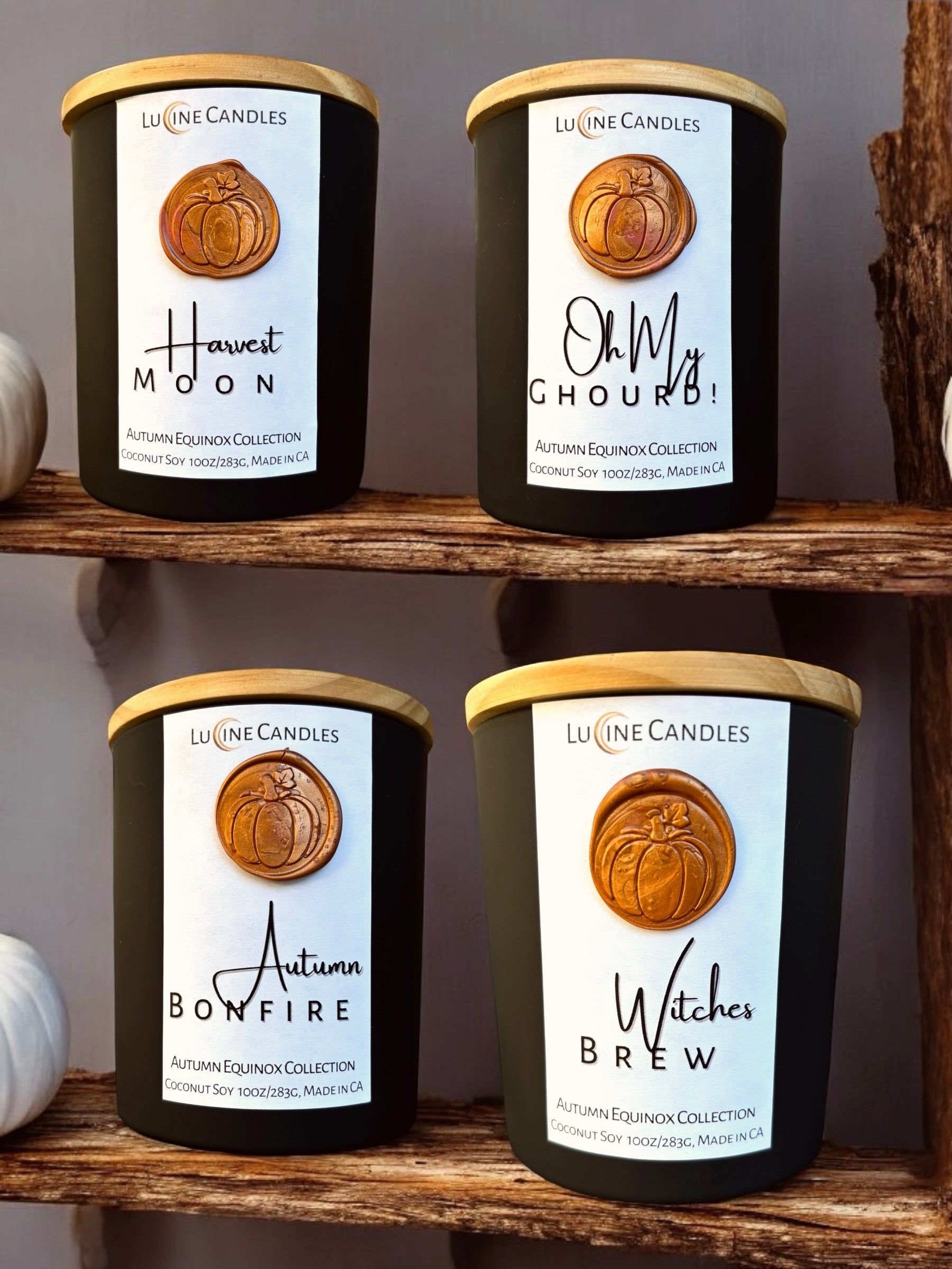 Autumn Luxe Collection