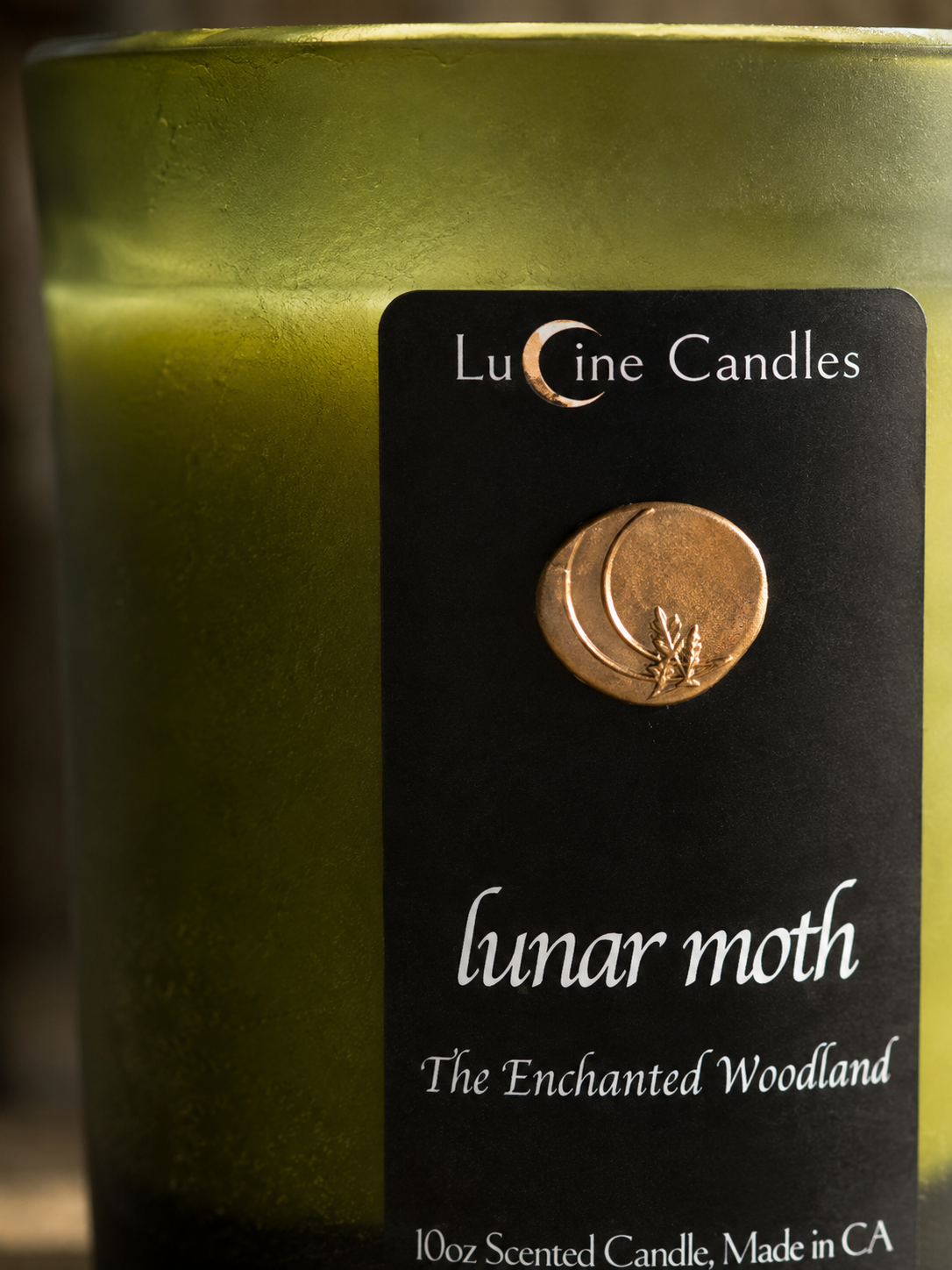 lunar moth