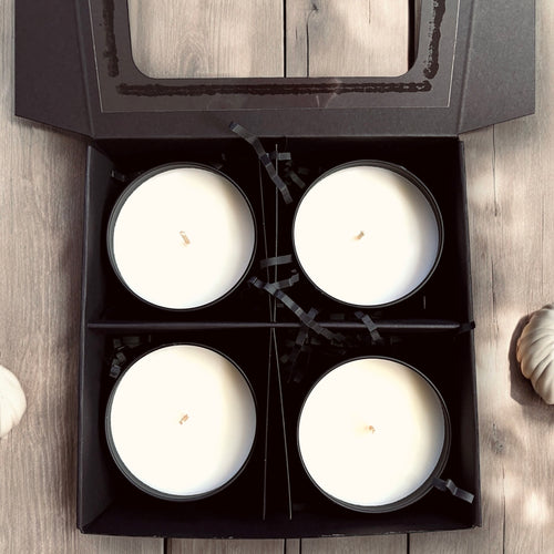 Autumn Discovery Set