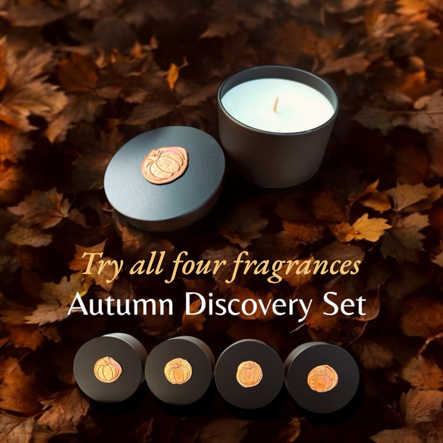 Autumn Discovery Set