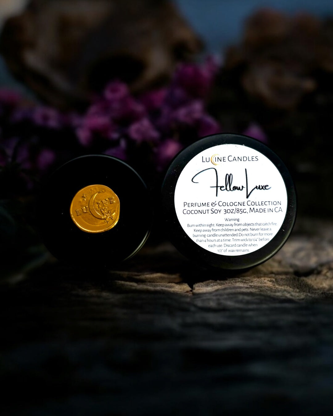 Perfume & Cologne Discovery Set