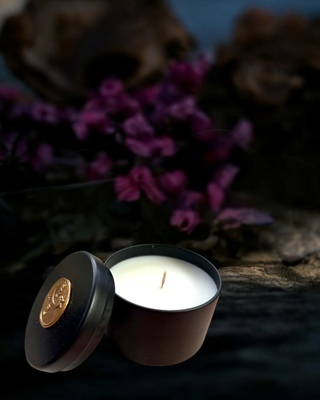 Perfume & Cologne Discovery Set