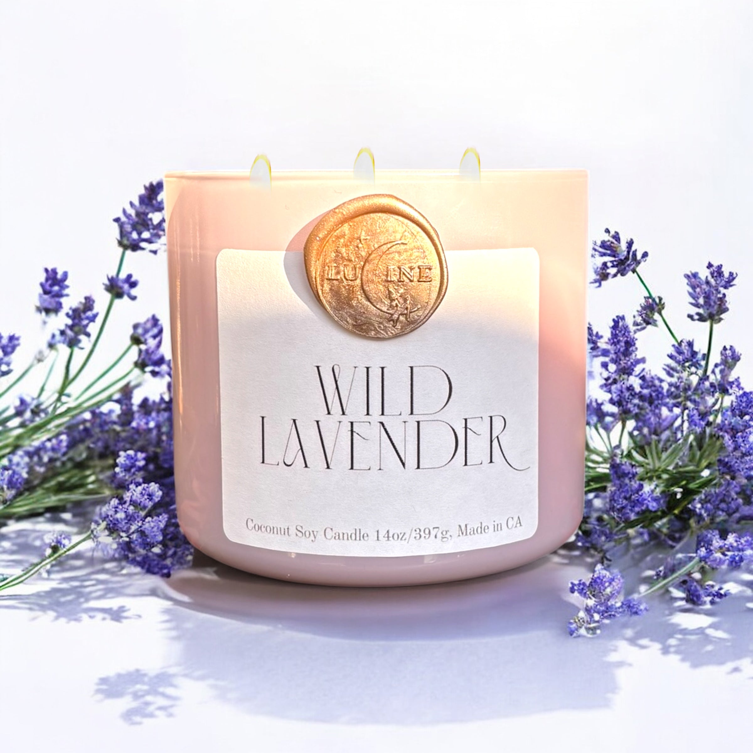 Wild Lavender