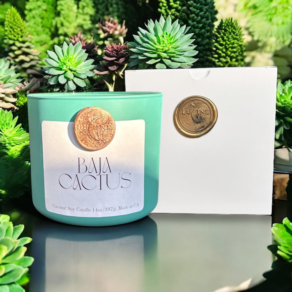 Baja Cactus