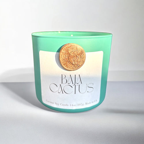 Baja Cactus