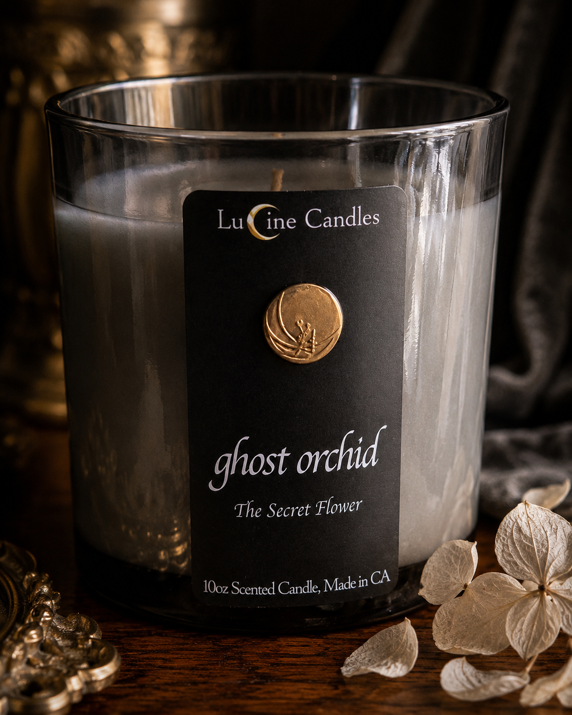 ghost orchid